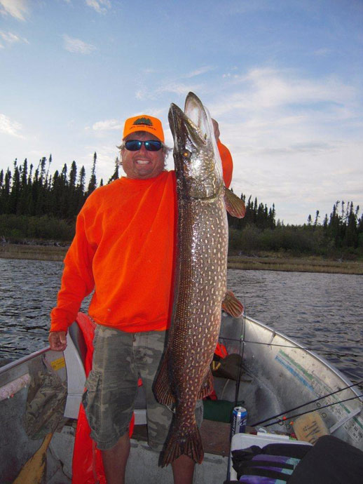 Blackstone String of Walleye