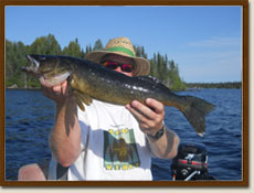 Fawcett Walleye catch - fishing trips in Northern Ontario