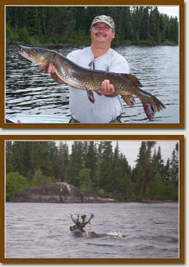 Walleye and pike fishing in Sioux Lookout, Ontario